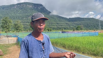 Integrated rice-fish culture improves food security for farmers in Lao PDR - video still for featured image