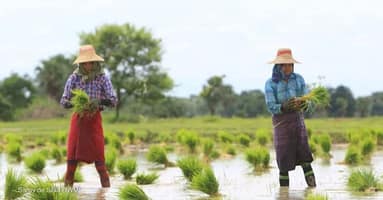 Devex: Opinion: Getting the most out of every last drop of water