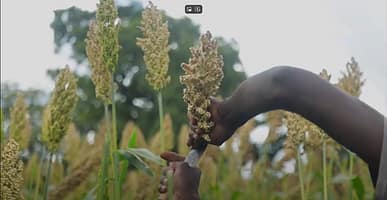 Climate change impact on livelihoods in Ghana