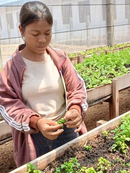 Chansone Daninthy, a greenhouse farmer from Inthi village, takes part in a hands-on training session as part of an IWMI-supported effort to strengthen skills and diversify livelihoods. Photo: Chanthalath Ammala/IWMI