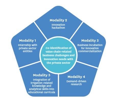 The five modalities of the internship and innovation grant (I2G) pathway for capacity development