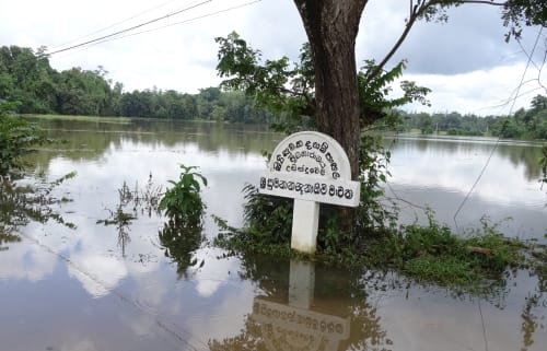 A flooded road. Photo: IWMI