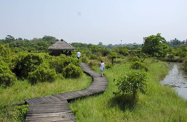 Diyasaru Park. Photo: Madeline Dahm / IWMI