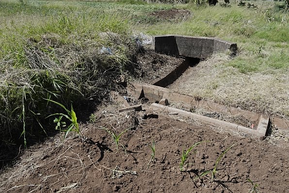 Irrigation and agricultural development in rural areas of Limpopo Province South Africa