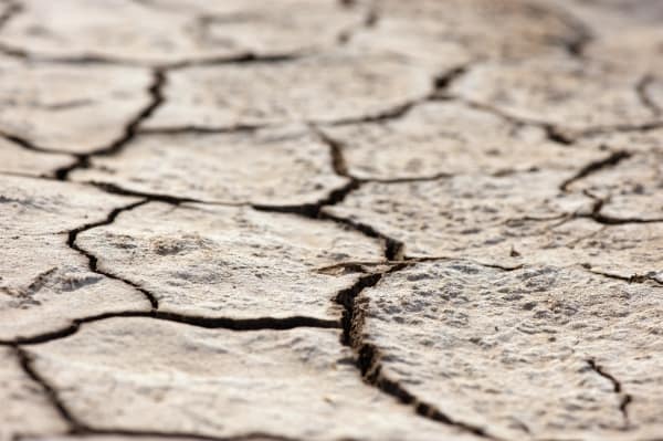 Photo credit: Hamish John Appelby