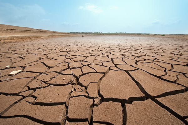 Hamish John Appleby – Gujurat, India