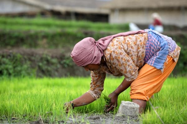 Photo credit: Jim Holmes-IWMI