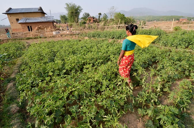 Photo: Neil Palmer / CCAFS