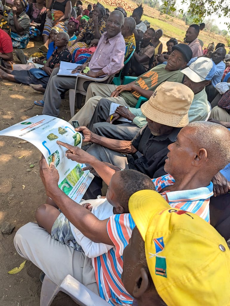Farmers review crop advisories helping them understand expected rainfall patterns, choose suitable crop varieties and make informed decisions that strengthen their resilience to climate uncertainty. Photo: Agrey Wapamesa /IWMI