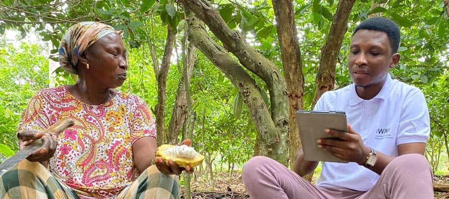 Cocoa plantation in Ghana