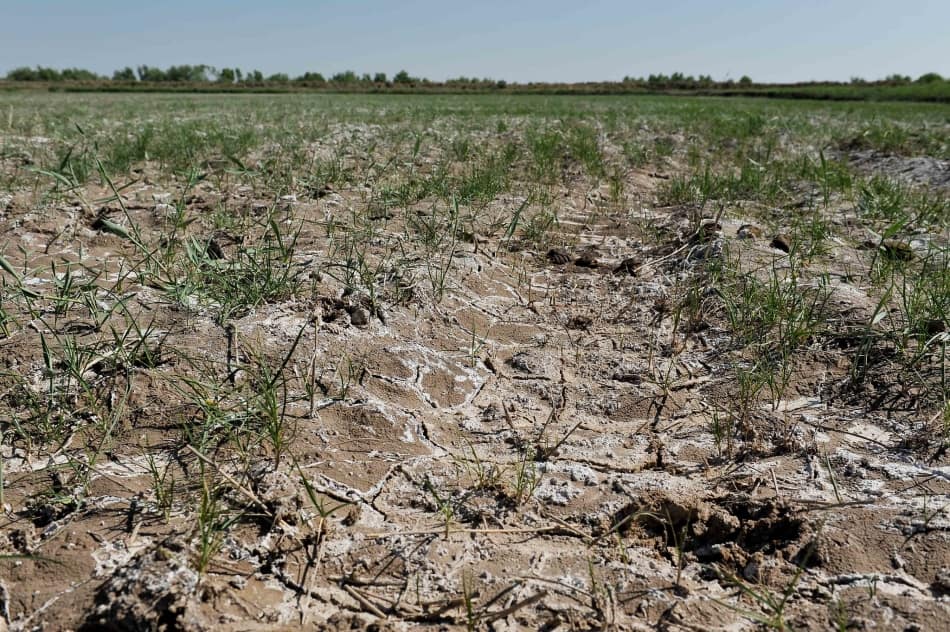 Photo: Neil Palmer / IWMI