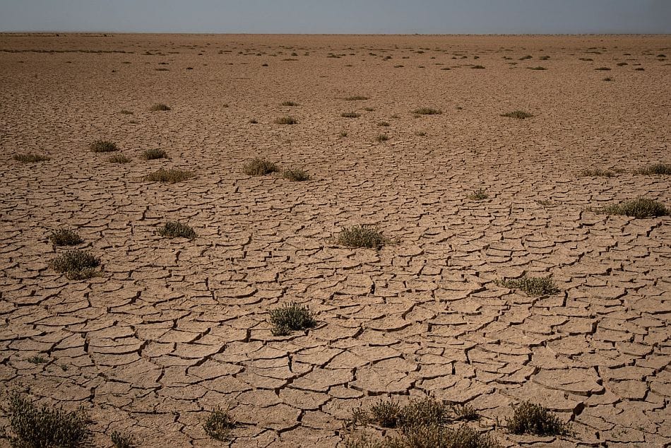 The dried up Azraq Basin in Jordan. Photo: Seersa Abaza / IWMI