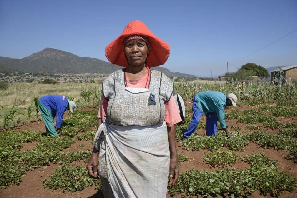 Farming in South Africa. Photo: Graeme Williams / IWMI Farming in South Africa. Photo: Graeme Williams / IWMI