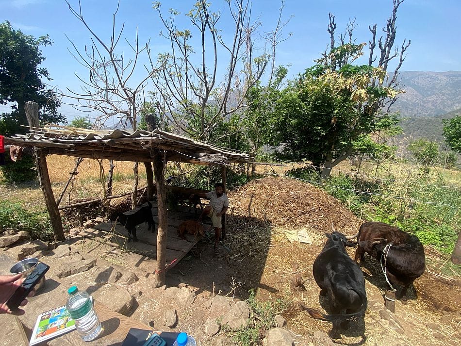 Livestock sheds and vegetable garden in Khare (Photo: Nirman Shrestha / IWMI)
