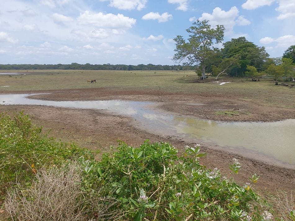 Researchers monitor and map water storage at the dried up Mutaliyar Kulam tank in Vavuniya district, Northern Province. Photo: Niranga Alahacoon/IWMI